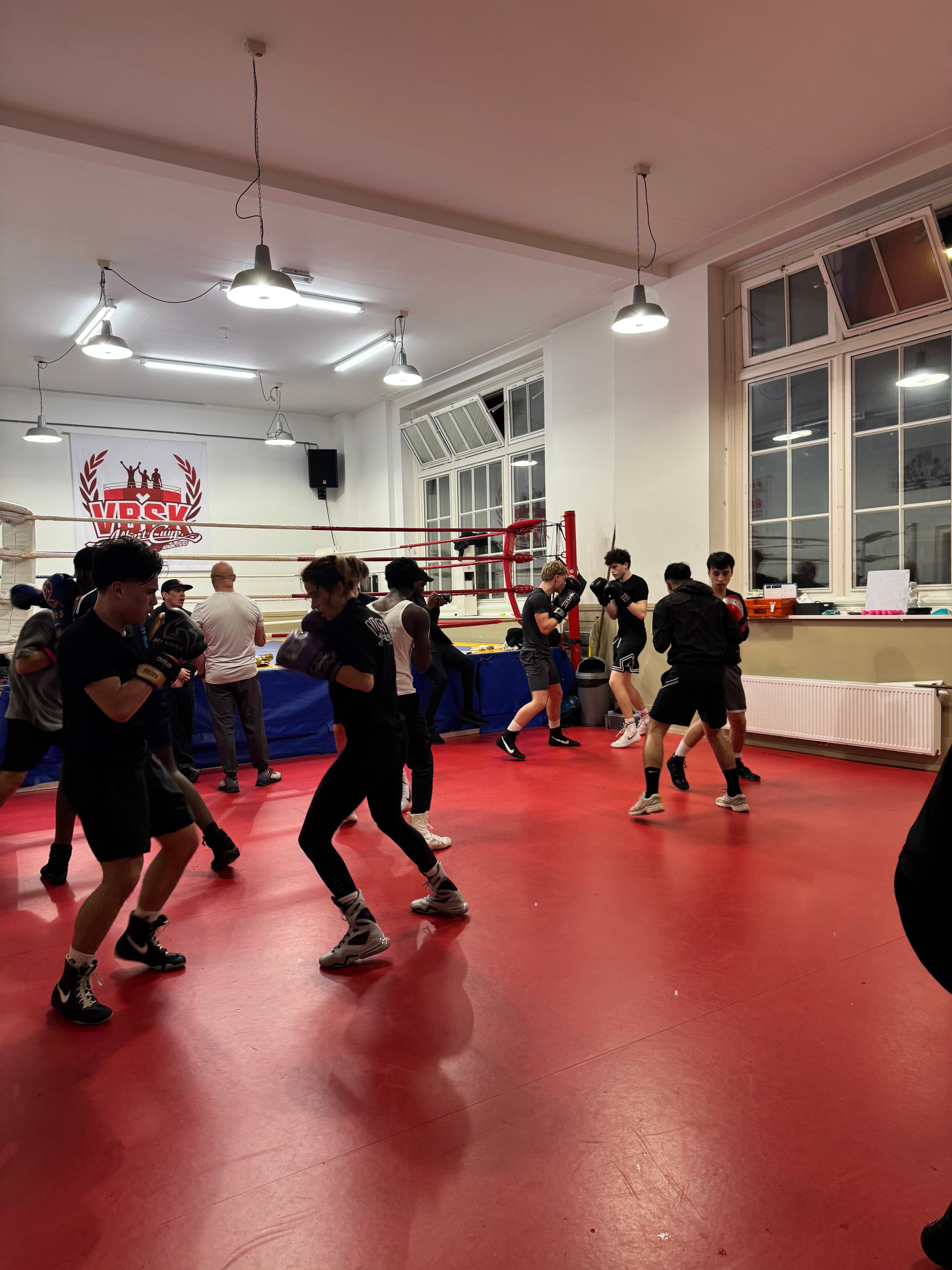 Proefles boksen bij VBSK
